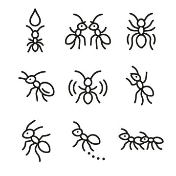 Ant Communication Icons. Outline icon set of ant communication: pheromone droplet, antennal tap, stridulation file, vibration