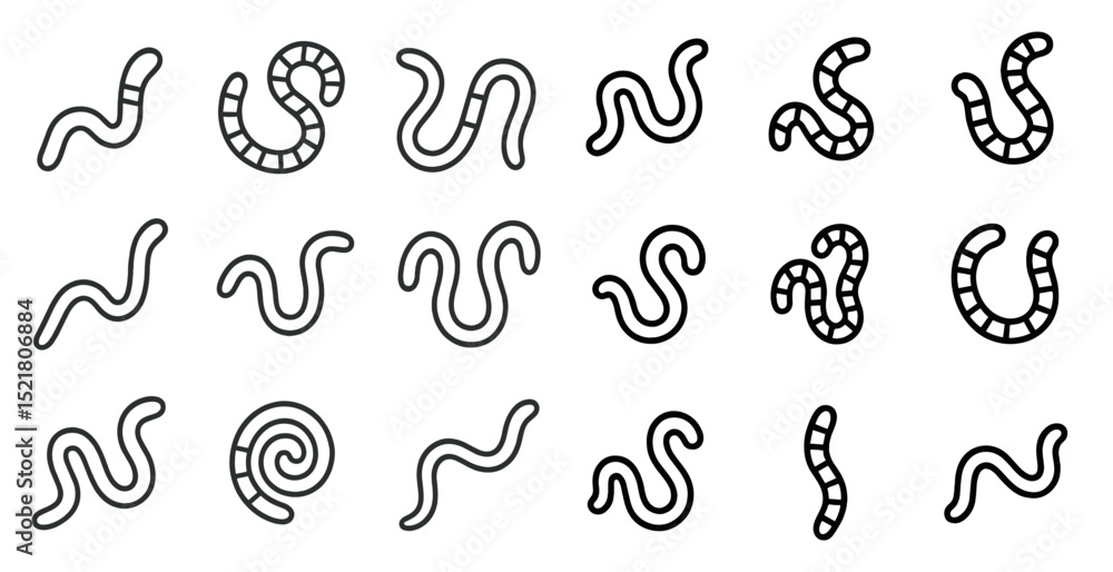 Poster Diverse worm patterns for nature and design projects
