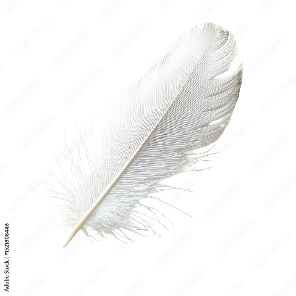 Poster elegant white feather resting on a smooth surface with delicate textures and soft shadows capturing 