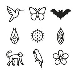 Naklejka premium Rainforest Pollinator Icons. Outline icon set of rainforest pollinators and seed dispersers: hummingbird, butterfly, bat