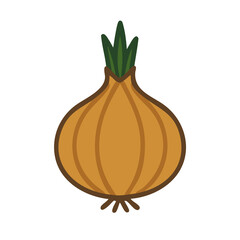 Flat vector illustration of an onion.