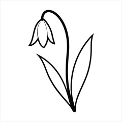 Minimalist Snowdrop Flower Illustration with Stem and Leaves in Black and White