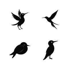 Fototapeta premium Bee eater bird silhouette set for tropical and colorful bird designs vector illustration.