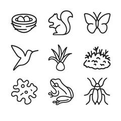 Wildlife Canopy Icons. Outline icon set of wildlife spotting from canopy: bird’s nest, squirrel silhouette, butterfly, hummingbird