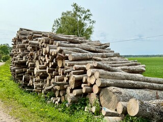 Large stack of cut timber logs piled by a dirt road in the countryside. Firewood and forestry...