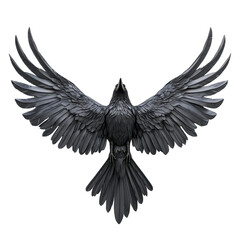 Obraz premium Raven spreads its wings against a neutral background showcasing intricate feather details and majestic form