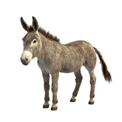Fototapeta premium Donkey stands alone in a grassy meadow during a sunny day in rural countryside landscape