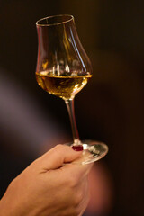 Woman Holding Cognac or Whiskey Glass