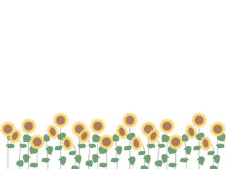 複数のひまわりの花背景フレームイラスト