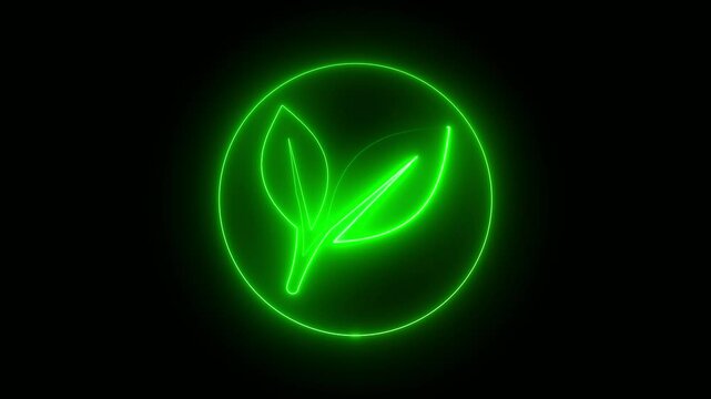 Green neon line leaf icon animation with black background.