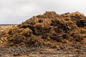 A large mound of compost made from organic material is situated at an agricultural location on a...