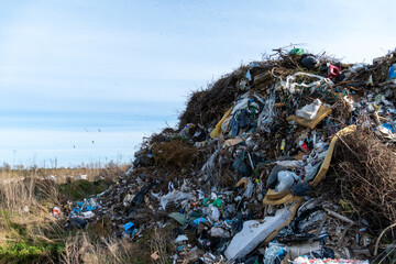 Large mound of trash accumulates in a rural landscape, highlighting the urgent need for better...