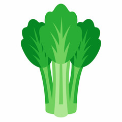 bunch of fresh green onions