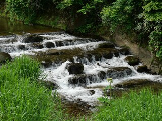 A stream flowing between green trees, Rokugo, Akita, Japan