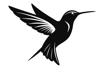 Silhouette of a Hummingbird in Flight, Wings Extended, Displaying Detailed Feather Markings and Elongated Beak