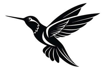 Obraz premium Black and White Hummingbird Illustration with Decorative Wings Spreading Wide Design Element