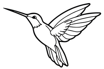 Artistic Outline of a Hummingbird Flying with Wings Spread, Tail Feathers Visible