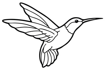 Black and White Line Art of a Flying Hummingbird with Detailed Wings