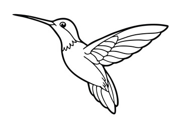 Fototapeta premium Outlined Hummingbird Illustration in Flight, Vector Image for Coloring Pages and Crafts