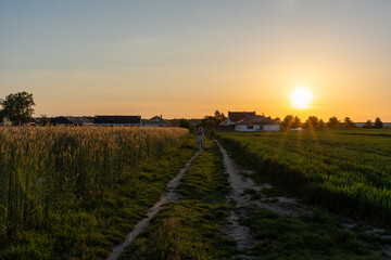 Rural landscape at sunset with a dirt road, wheat field, and houses in the background, featuring person walking peacefully in the serene countryside. Concept of tranquility, nature, and village life.