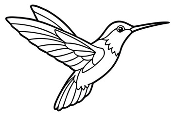 Obraz premium Detailed Hummingbird Outline Image with Wings Extended, Featuring Sharp Beak and Feather Details