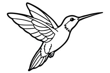 Minimalist Black and White Line Drawing of a Hummingbird in Flight, Wing Detail