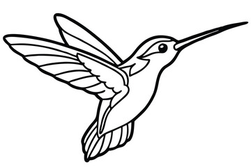 Simple Hummingbird Illustration With Detailed Wing Feathers For Coloring Or Crafts