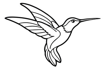 Obraz premium Outlined Hummingbird Illustration with Open Wings, Elegant Silhouette, Isolated Vector Drawing