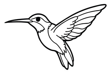 Black and White Line Art Illustration of Hummingbird in Flight with Visible Wings