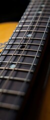close up of a guitar's neck and frets