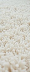 close up of a white carpet with lots of white stuff on it