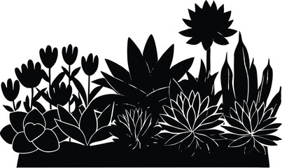 Silhouette of Succulent Garden, Decorative Succulents in Garden Bed
