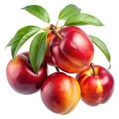 Studio shot of a cluster of ripe nectarines with their vibrant leaves