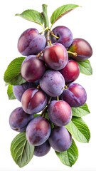 Fototapeta premium Fresh Plums Still Life A Vibrant Display of Ripe Fruit and Leaves