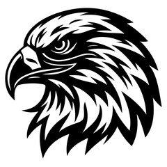 Fototapeta premium eagle head vector illustration