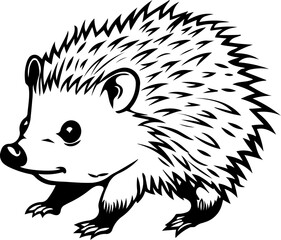 animal, mammal, sketch, vector, nature, wildlife, cat, pet, illustration, dog, drawing, cute, wild, hand drawn, fur, head, shaggy, kitten, bear, tail, isolated on white, zoo, art, domestic animal, bla