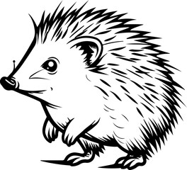 animal, mammal, sketch, vector, nature, wildlife, cat, pet, illustration, dog, drawing, cute, wild, hand drawn, fur, head, shaggy, kitten, bear, tail, isolated on white, zoo, art, domestic animal, bla