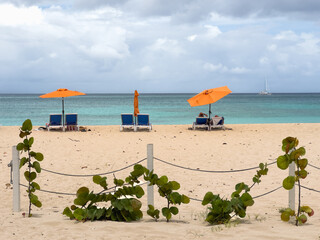 Lounge chairs on a beach along the ocean