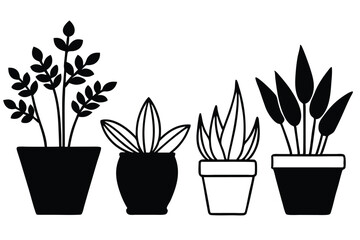 Silhouette pictogram icons of various plants in pots showcasing unique designs and growth stages .