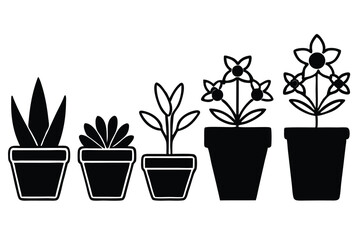 Silhouette pictogram icons of various plants in pots showcasing unique designs and growth stages .