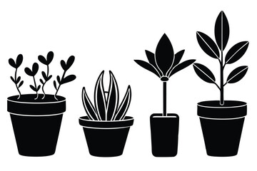 Obraz premium Silhouette pictogram icons of various plants in pots showcasing unique designs and growth stages .
