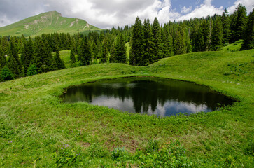 Lauenenhorn in der ferne mit einem Teich
