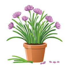 Healthy Chives with Purple Flowers