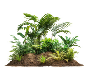 Obraz premium Lush Garden Oasis: A vibrant cluster of diverse plants creating a verdant paradise, bursting with life and texture, inviting you to immerse yourself in its natural splendor.