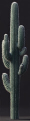 This very tall and narrow photograph captures the majestic verticality of a giant cactus in sharp detail, its ribbed green surface and spiny textures vividly contrasted against a black background