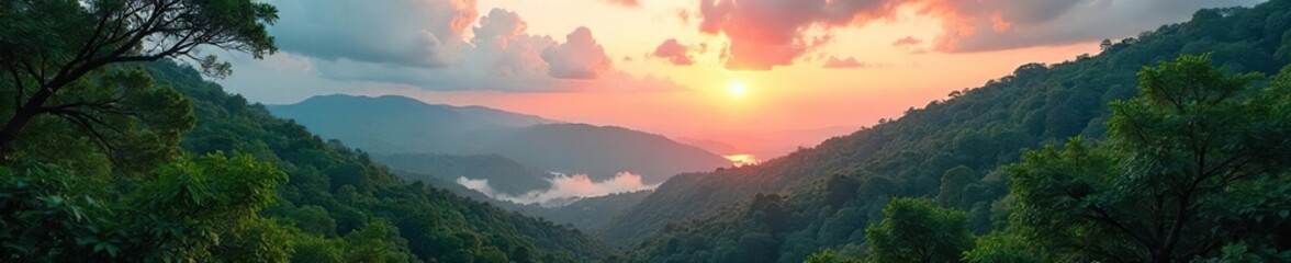 Obraz premium A breathtaking panoramic view of a dense forest canopy stretching towards a vibrant, cloud-filled sky Sunlight filters through the leaves, creating a magical atmosphere , elevation, magical