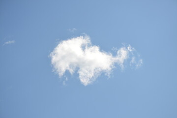 Lonely cloud. A white cloud of a bizarre shape hangs in the light blue clear sky. The cloud is illuminated by the rays of the summer sun. Looking at it, you can understand what it looks like.
