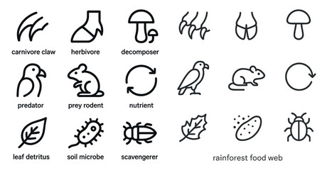 Fototapeta premium Rainforest food web icons illustrating ecosystem roles and relationships