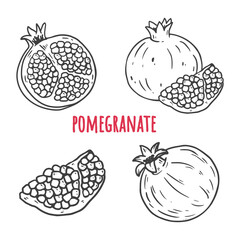 Set of pomegranate fruits. Isolated elements for design. Hand drawn vector illustration
