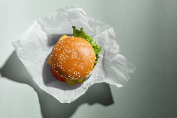 fresh tasty burger